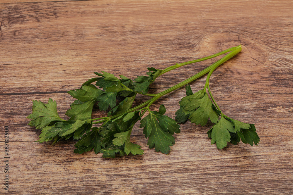 Green fresh parsley branch herb Green fresh parsley branch herb