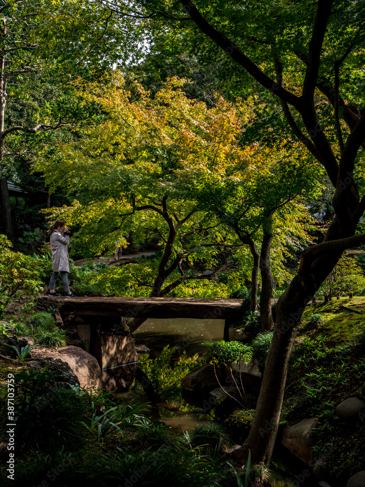 Naklejka premium 池のある、秋の日本の伝統的な庭園の風景