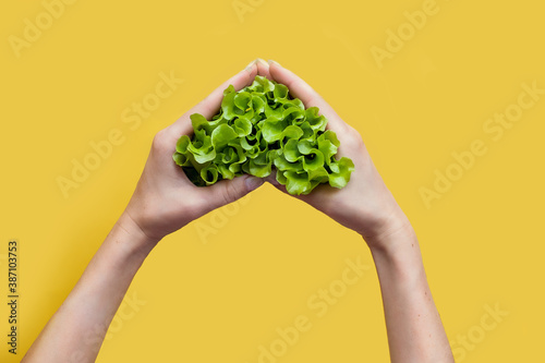 Low calorie diet concept. Raw food. Lettuce leaves in the hands in the shape of a heart. I love vegetables. Vitamins health tasty natural bio eco. Stylish colored background texture. Copy space