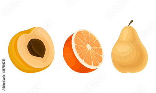 Ripe and Fresh Fruits Isolated on White Background Vector Set