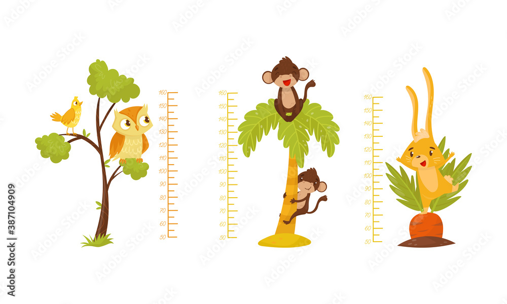 Height Chart for Kids with Funny Animals Vector Set Height Chart for Kids with Funny Animals Vector Set