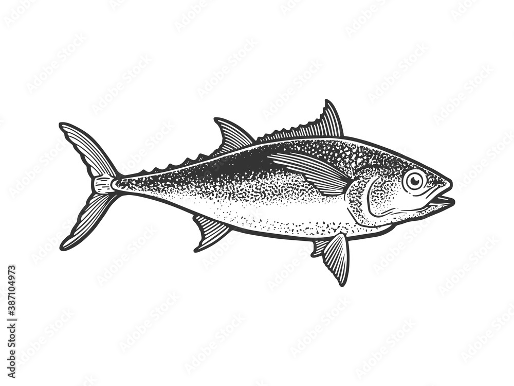 Tuna tunny fish sketch engraving vector illustration. T-shirt apparel print design. Scratch board imitation. Black and white hand drawn image.