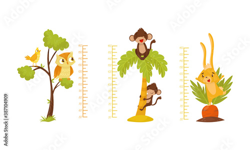 Height Chart for Kids with Funny Animals Vector Set