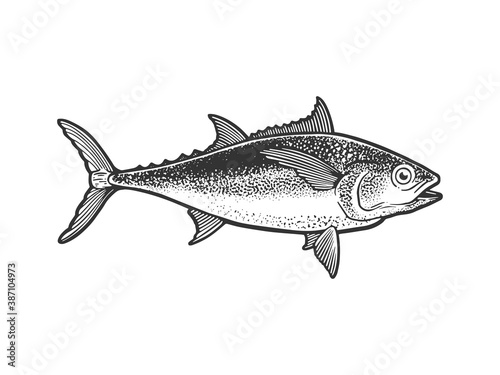 Tuna tunny fish sketch engraving vector illustration. T-shirt apparel print design. Scratch board imitation. Black and white hand drawn image.
