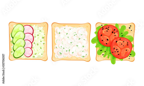 Toasts With Different Ingredients Top View Vector Set