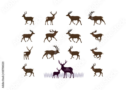 Animal illustrations, deer illustrations, collection of deer silhouettes, wildlife