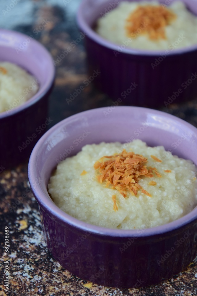 Tapioca pearl pudding dessert with coconut milk garnish with toasted desiccated coconut Tapioca pearl pudding dessert with coconut milk garnish with toasted desiccated coconut