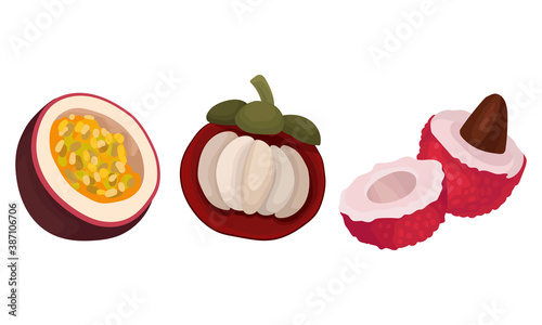 Ripe and Fresh Exotic Fruits with Lychee and Mangosteen Vector Set
