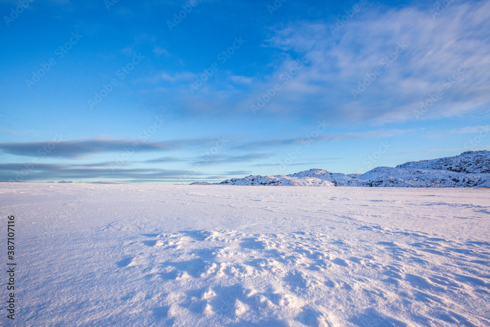 Snow desert. Kola Peninsula winter day landscape