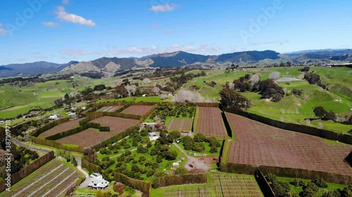 Fertile land of New Zealand with plantation and Te Urewera mountains in backdrop photo