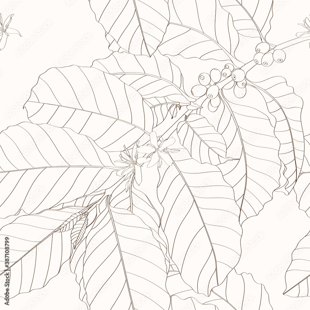 Seamless pattern with leaves and branches of coffee plant, Hand-drawn line vintage illustration.