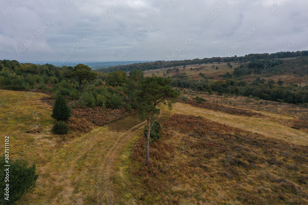 Fototapeta premium Aerial View Of Ashdown Forest - Sussex