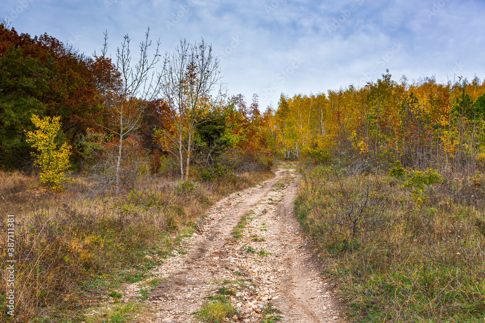 Autumn forest with dirt road and blue sky. A path that goes into perspective. Atmospheric autumn landscape with colorful trees. The concept of Golden autumn, calm and peace. Autumn in the Crimea.