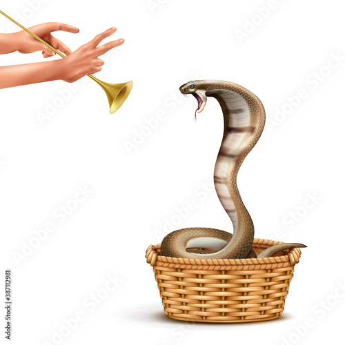 Snake Charmer Realistic Composition