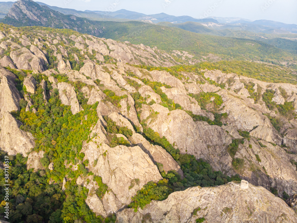 Aerial view down to the rock formations with woodlands in Birtvisi canyon in Georgia.