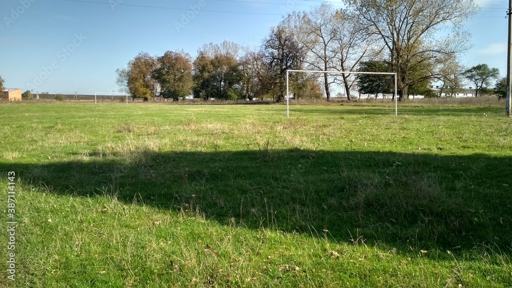 grass in a stadium