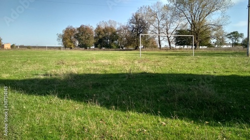 grass in a stadium