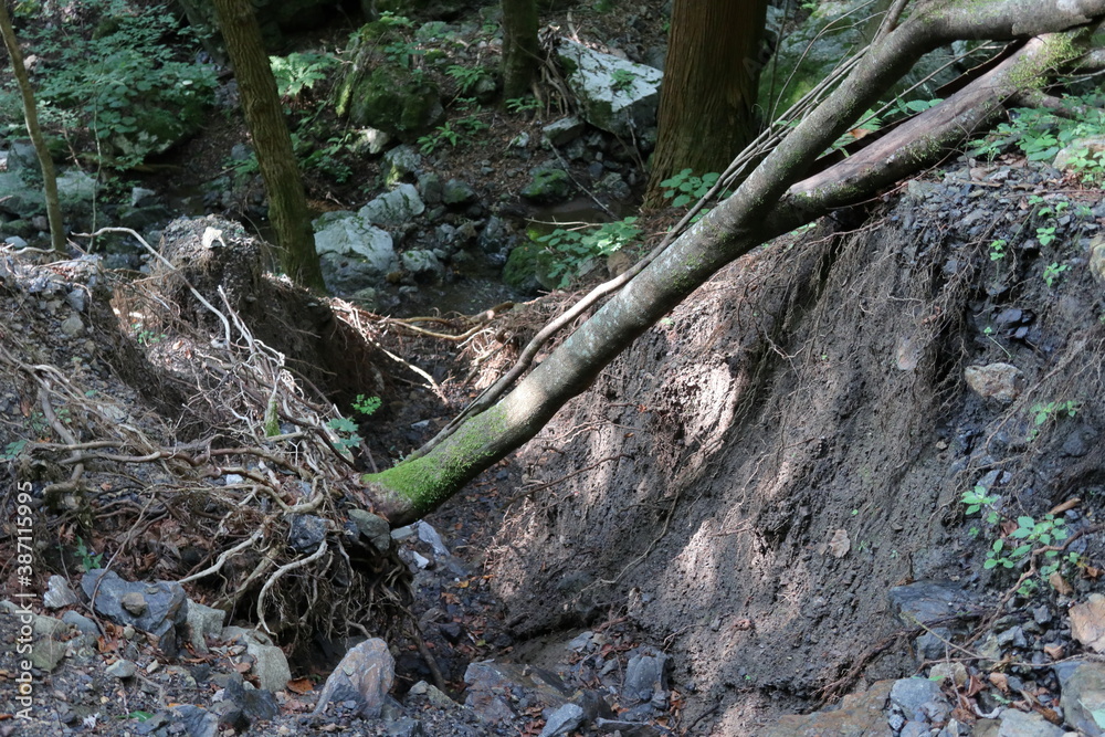 自然災害で崩壊した登山道 自然災害で崩壊した登山道