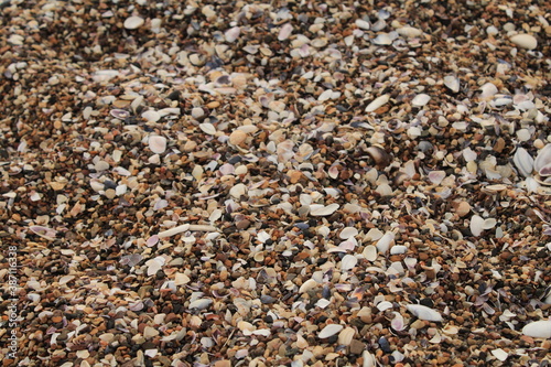 pebbles on the beach