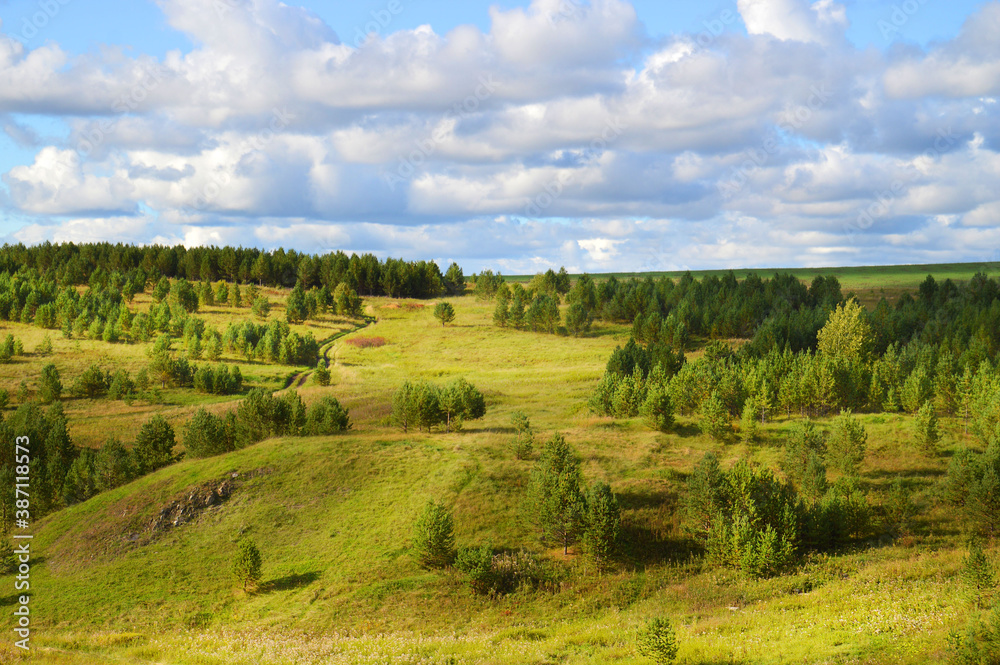 Picturesque green hills with coniferous trees against the blue sky