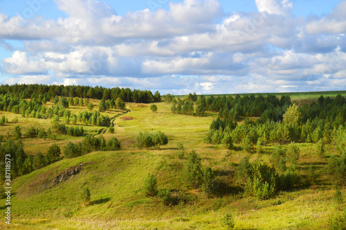 Picturesque green hills with coniferous trees against the blue sky