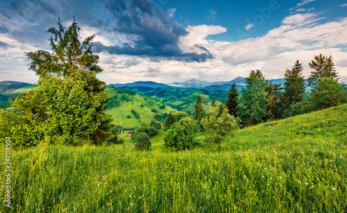 Fresh green valley in Carpathian mountains. Dramatic summer scene of Stebnyi village, Transcarpathian region, Ukraine, Europe. Beauty of nature concept background..