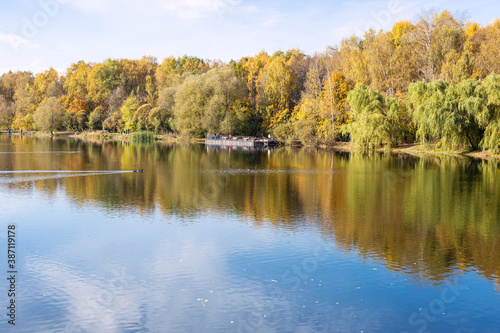 view of calm pond in city park on sunny autumn day