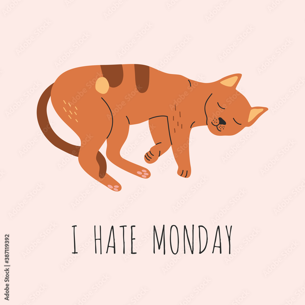 Sleeping orange cat with lettering I hate Monday, hand drawn vector illustration in flat cartoon style, isolated on white background.