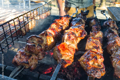 Freshly juicy marinated meat on the grill. Cooking food over an open fire and coals. Picnic in nature. Fresh meat for the barbecue. Skewers and barbecue