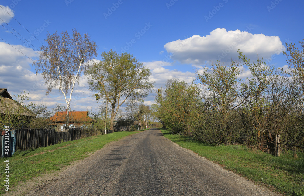 Fototapeta premium countryside road in village