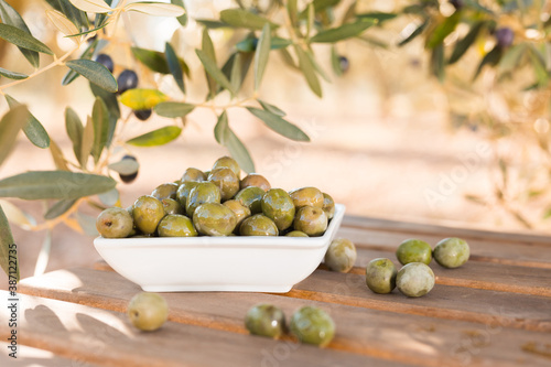 olives on table in an olive grove