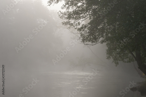 Magical morning with fog that swirls around the sea and trees. View of a beautiful nature landscape in autumn. Background with copy space and place for text. Photography taken in October.