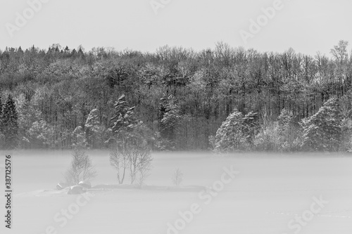 Wallpaper Mural Black and white photography of a dreamy winter landscape. Frost and snow on the trees and the ice has frozen on the lake. Place for text and copy space.  Torontodigital.ca
