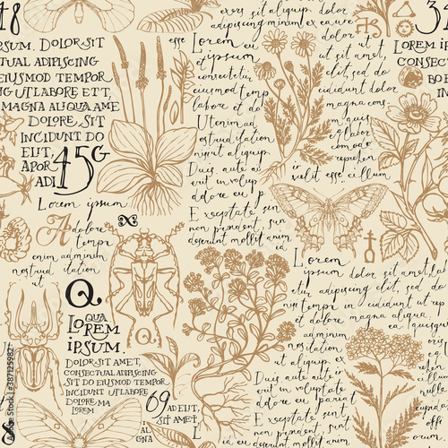 Seamless pattern with medicinal herbs, insects and handwritten text Lorem Ipsum. Vector hand-drawn herbs, beetles, butterflies on an old paper background. Wallpaper, wrapping paper, textile, fabric