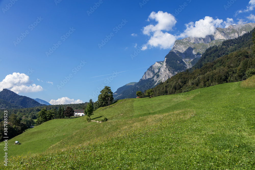 Fototapeta premium スイス、マイエンフェルト