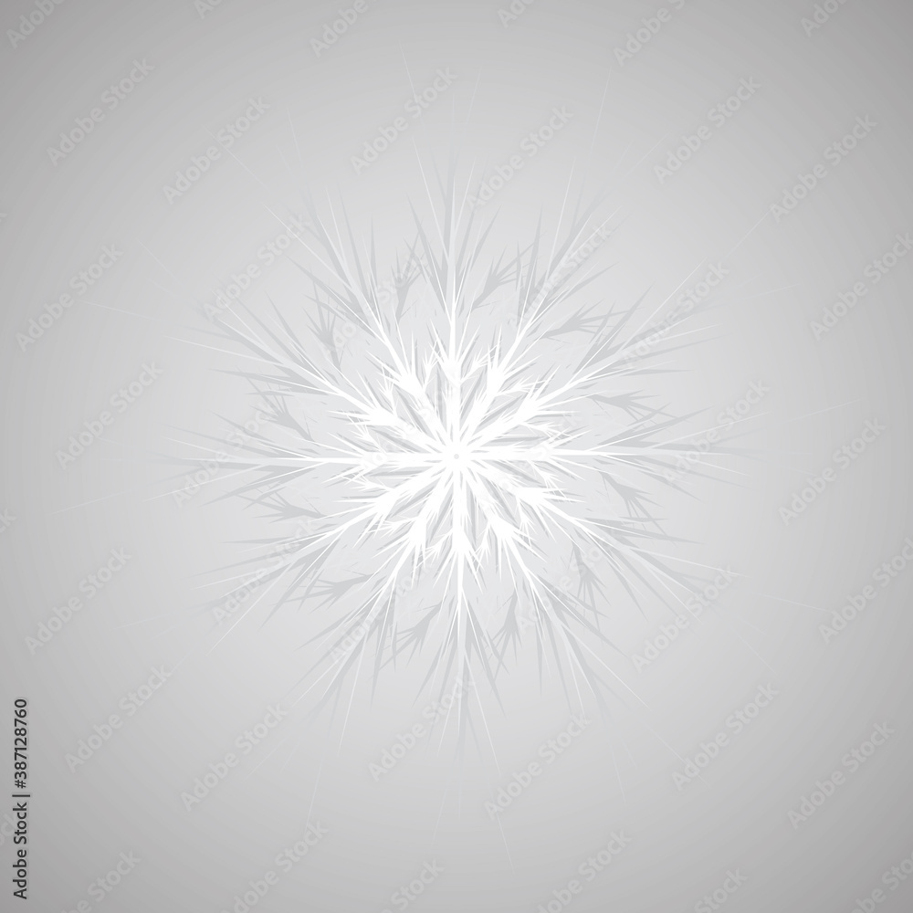 Obraz premium vector, isolated, white snowflake on gray background