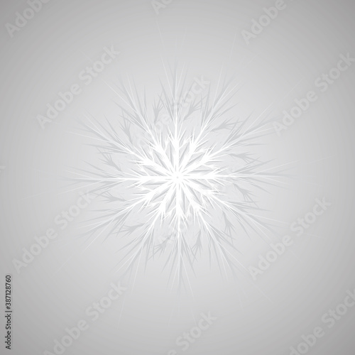 vector  isolated  white snowflake on gray background