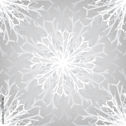 vector  gray background with white snowflakes  ornament  pattern
