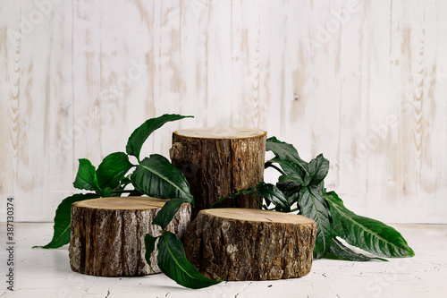wood slice podium