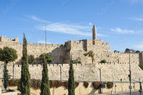 Canvas Print Tower of David.