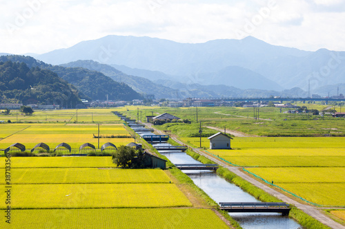 豊岡市の田園風景 photo