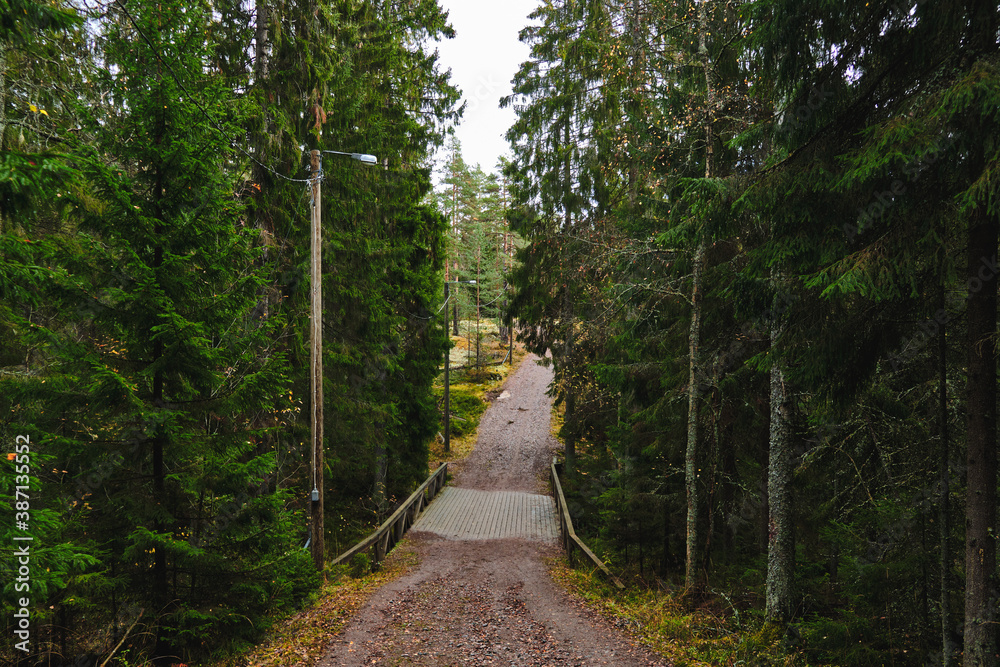 Hiking trail in Nuuksio National Park, Finland.