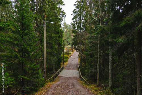 Obraz na płótnie Hiking trail in Nuuksio National Park, Finland. w salonie