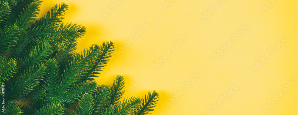 Top view of green fir tree branches on colorful background. New year holiday concept with empty space for your Banner design