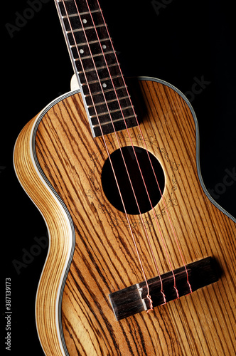 zebrawood ukulele with red strings close up photo