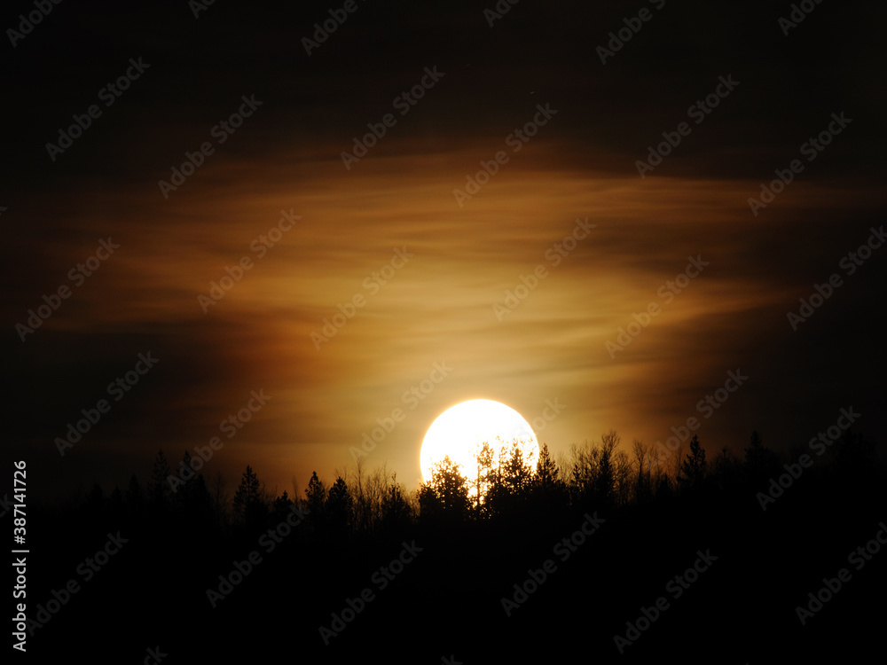 Blurred sun in a northern climate against a background of red and orange clouds, blurred dark shadow of a tree
