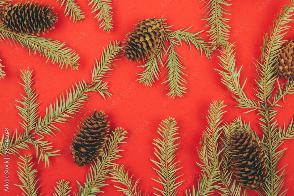 Fototapeta premium Pine cones and fir tree branch on a red background.