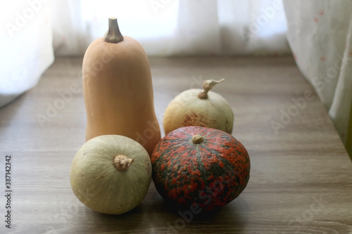 Various pumpkins on a table. Selective focus.