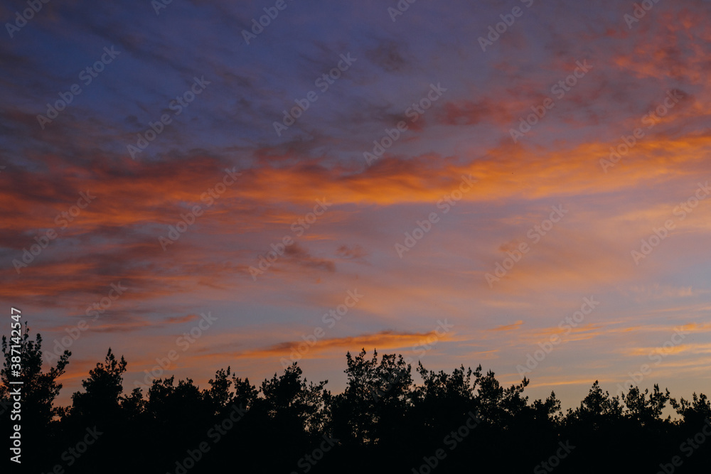 Obraz premium Breathtaking early sunrise over the forest with orange, goldlike and pink clouds.