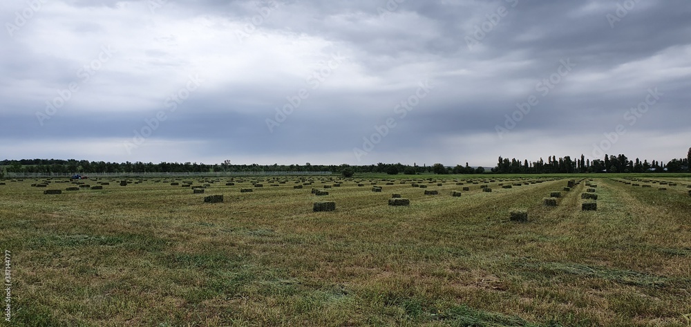 landscape with trees landscape with trees